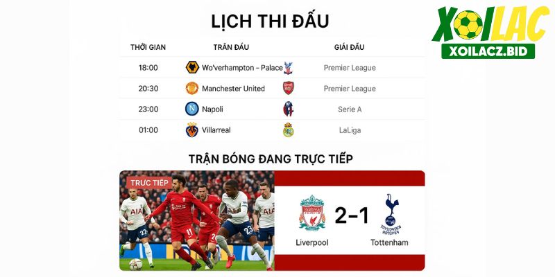 Người dùng dễ dàng tìm kiếm trận đấu yêu thích Người dùng dễ dàng tìm kiếm trận đấu yêu thích